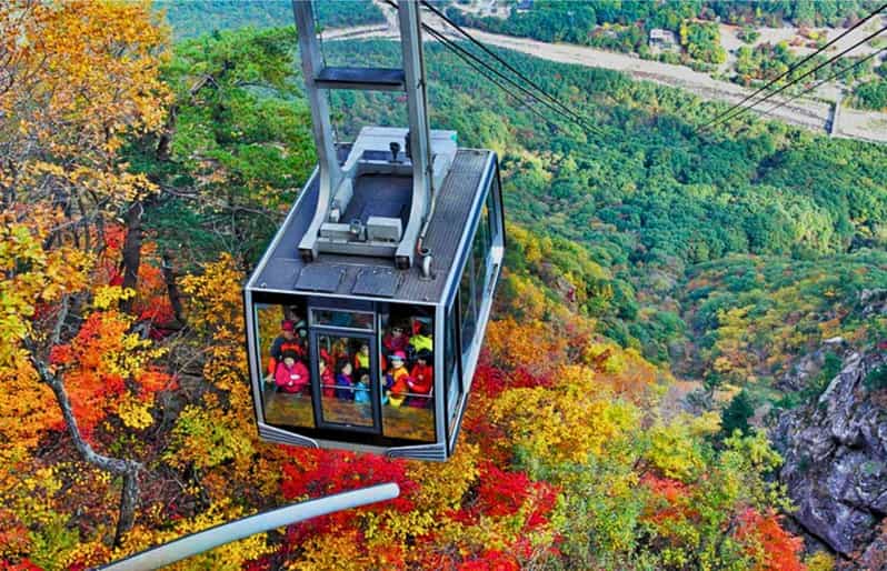 from Seoul Seoraksan Maple Mountain with Cable Car GetYourGuide