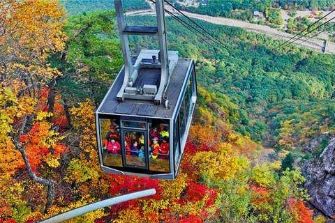 Seoraksan Day Tour with Nami Island or Sinheungsa Temple Group tour from Hongik University with Sinheung Temple