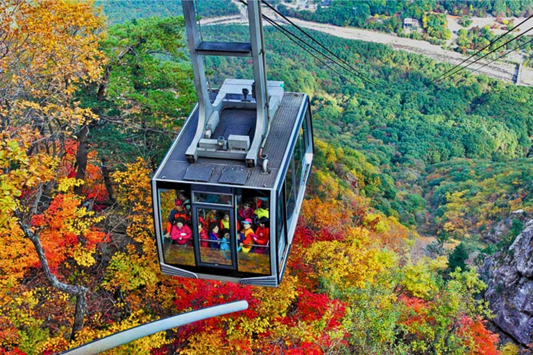 Seoraksan Day Tour with Nami Island or Sinheungsa Temple Group tour from Hongik University with Sinheung Temple