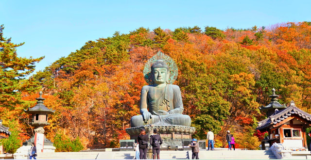 From Seoul: Seoraksan Maple Mountain with Cable Car