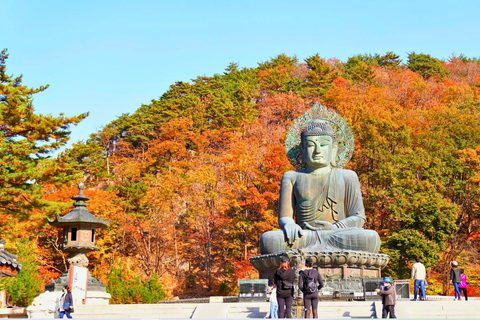 Seoraksan Day Tour with Nami Island or Sinheungsa Temple Group tour from Hongik University with Sinheung Temple
