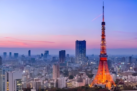 Tokyo Tower: toegangsbewijs en privé-ophaalserviceTokyo Tower: toegangsbewijs en ophalen van privéhotel