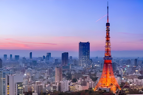 Tokyo Tower: bilet wstępu i prywatny odbiórTokyo Tower: bilet wstępu i odbiór z prywatnego hotelu