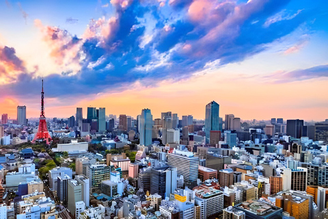 Tokyo Tower: Admission Ticket & Private Pick-up Tokyo Tower: Admission Ticket & Private Hotel Pick-up