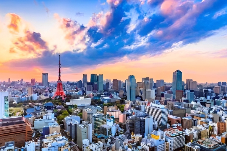 Tour de Tokyo : Billet d'entrée et prise en charge privéeTour de Tokyo : Billet d'entrée et prise en charge privée à l'hôtel