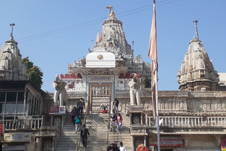 Udaipur : Visite guidée privée de la ville d'UdaipurOption standard