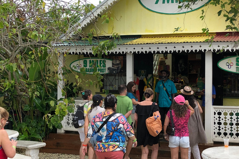 鲍勃·马利九英里之旅（从蒙特哥贝和法尔茅斯出发）鲍勃·马利9英里之旅（从蒙特哥贝和法尔茅斯出发）