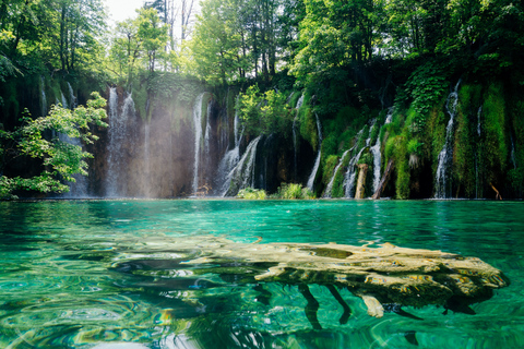 Zadar : Visite guidée des lacs de Plitvice avec billets