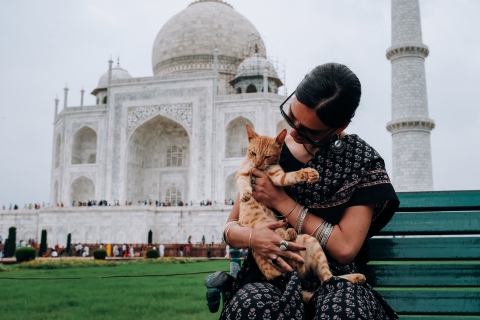 Vanuit Delhi: Private Taj Mahal & Agra Tour per sneltreinTour met zitplaatsen in tweede klas zonder toegang en lunch