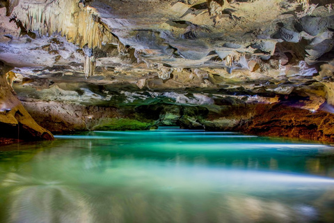 From Valencia: San José Caves with Entry and Boat Tour