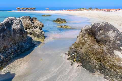 Desde Chania : Excursión diaria a la playa de Elafonisi