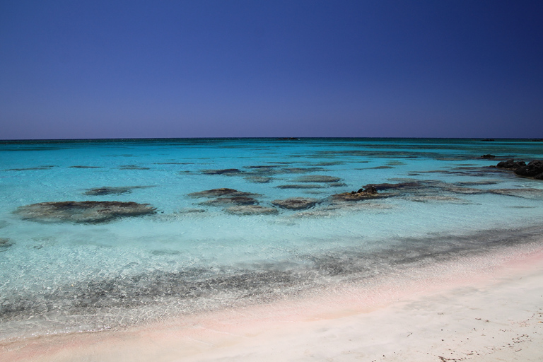 From Chania : Daily excursion to Elafonisi beach