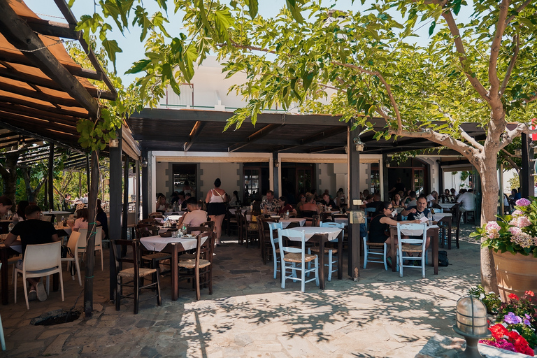 Van Heraklion: bustour van een hele dag naar het Lasithi-plateau