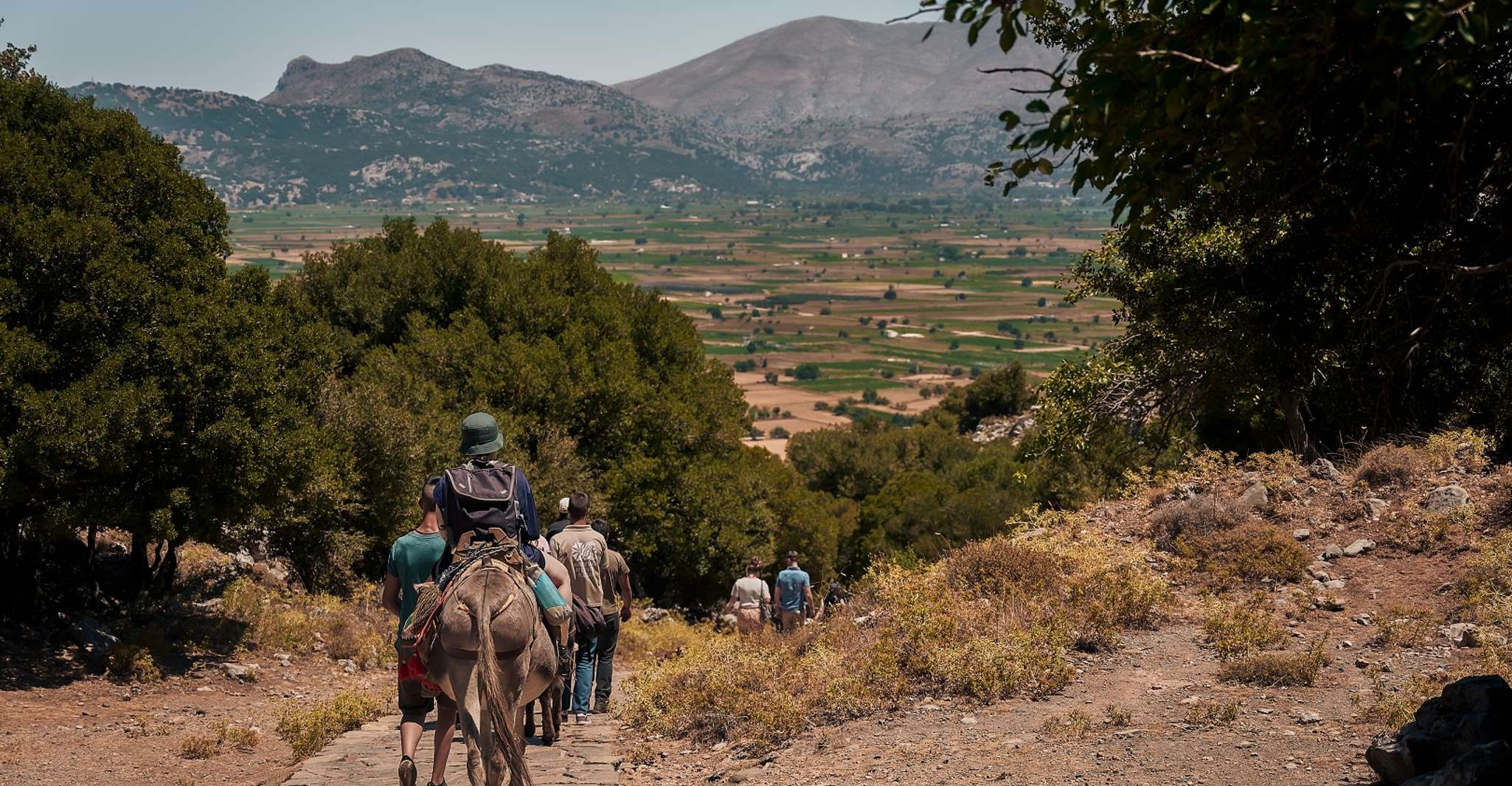 From Heraklion, Lassithi Plateau and the Cave of Zeus Tour - Housity