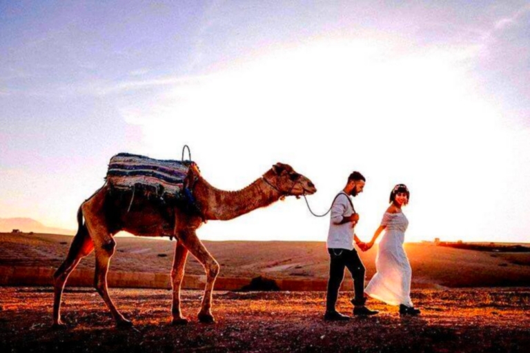 Von Marrakech aus: Agafay Wüsten-Sonnenuntergang-Dinner mit Live-Show