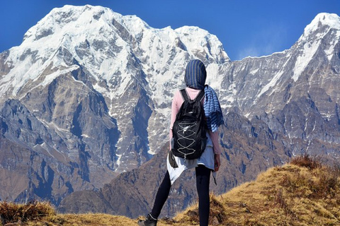 Da Pokhara: trekking guidato di 3 giorni Mardi Himal con pastiDa Pokhara: trekking privato Mardi Himal di 3 giorni