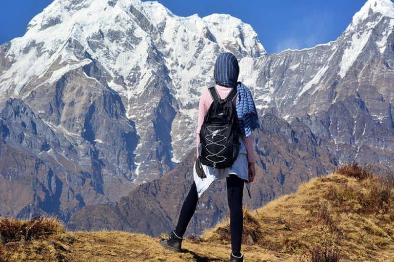 Från Pokhara: Guidad 3-dagars Mardi Himal Trek med måltiderFrån Pokhara: 3-dagars privat vandring i Mardi Himal