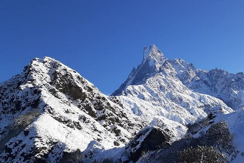 De Pokhara: caminhada guiada de 3 dias no Mardi Himal com refeiçõesDe Pokhara: caminhada privada de 3 dias no Mardi Himal