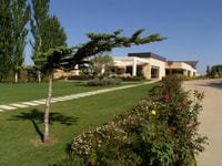 Toro, Piedra Winery Tour and Wustings - Housity