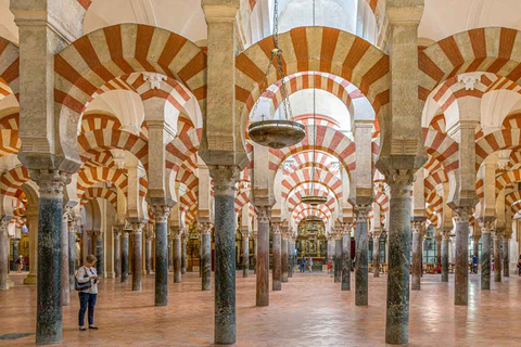 Córdoba: Moskén och Alcazar Privat tur med biljetter