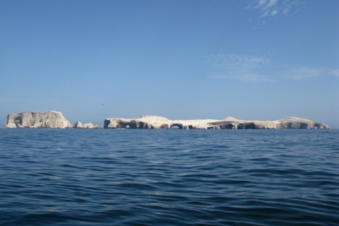 Depuis Paracas : excursion en bateau dans les îles BallestasÎles Ballestas - Transferts inclus