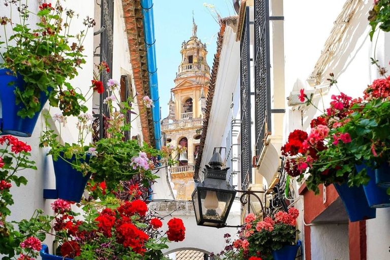 Prywatna wycieczka do meczetu i Alcazar w KordobieMeczet i Alcazar oraz dzielnica żydowska w Kordobie Prywatna wycieczka