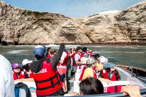Paracas: Passeio de barco pelas Ilhas Ballestas