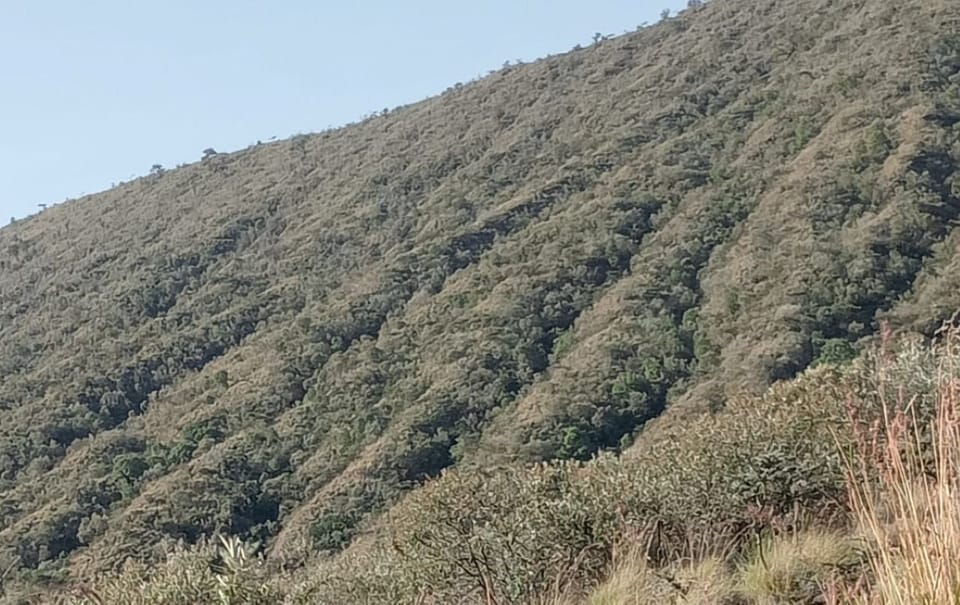 Excursión de un día al Parque Nacional del Monte Longonot desde Nairobi