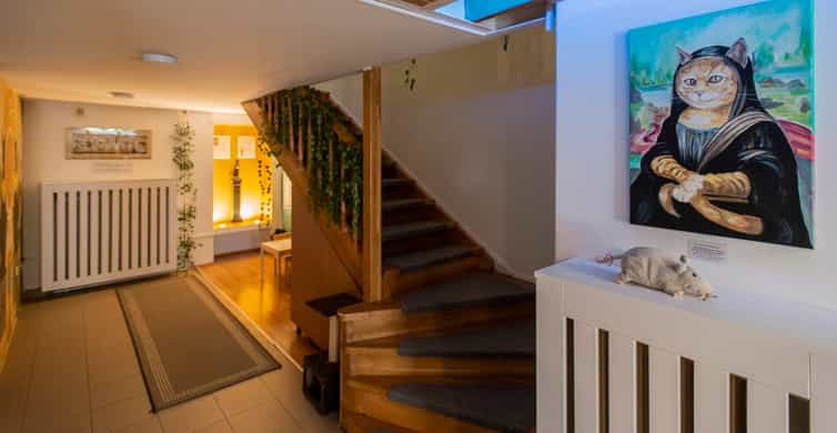 Budapest: Cat Museum Budapest Entry Ticket photo 5