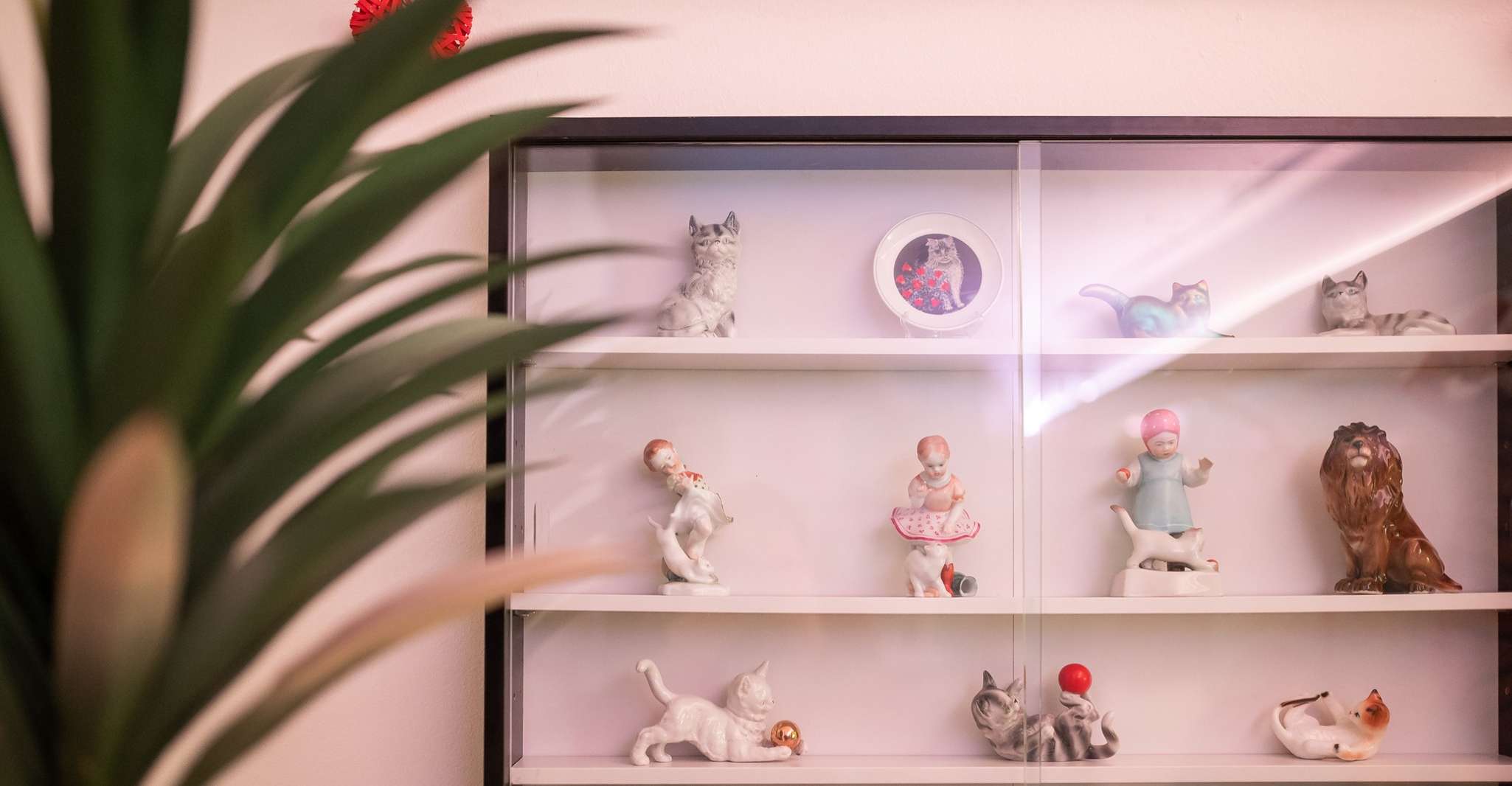 Budapest: Cat Museum Budapest Entry Ticket photo 9