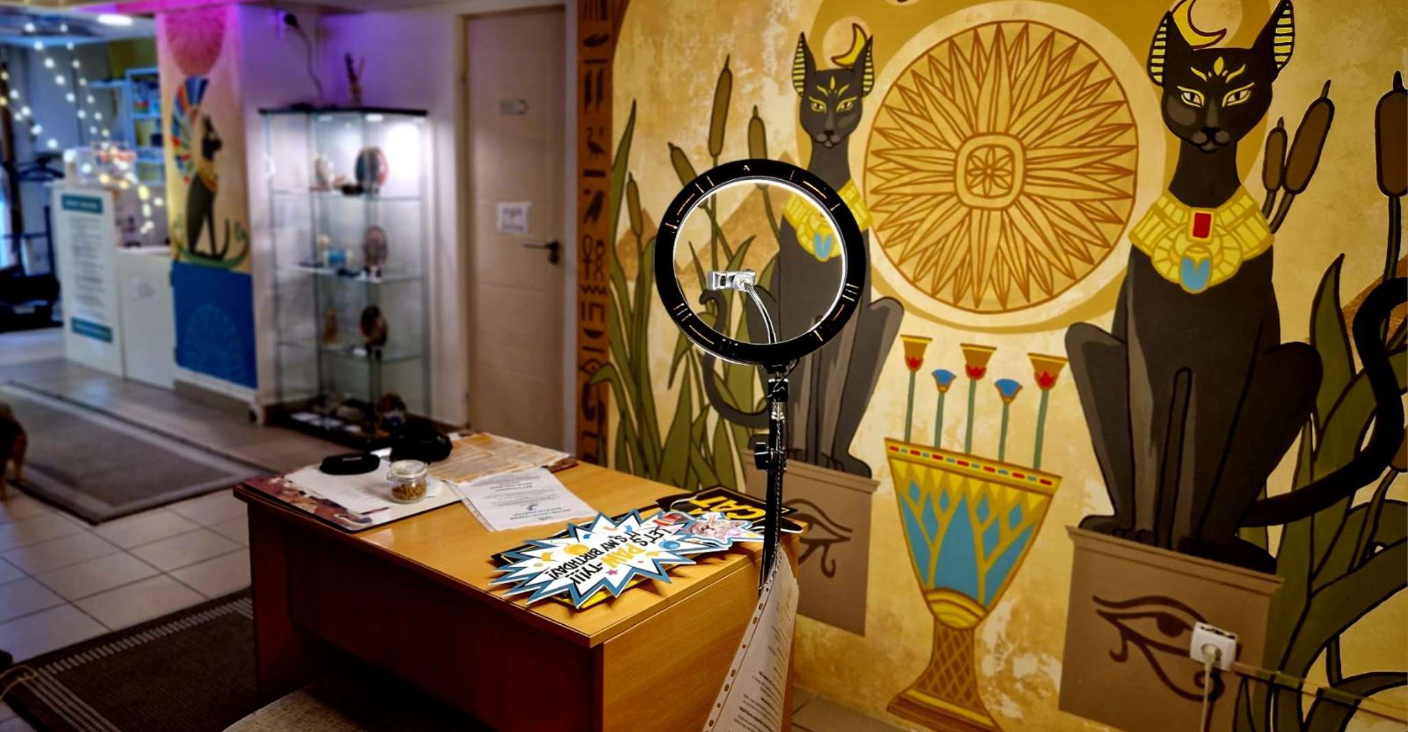 Budapest: Cat Museum Budapest Entry Ticket photo 13