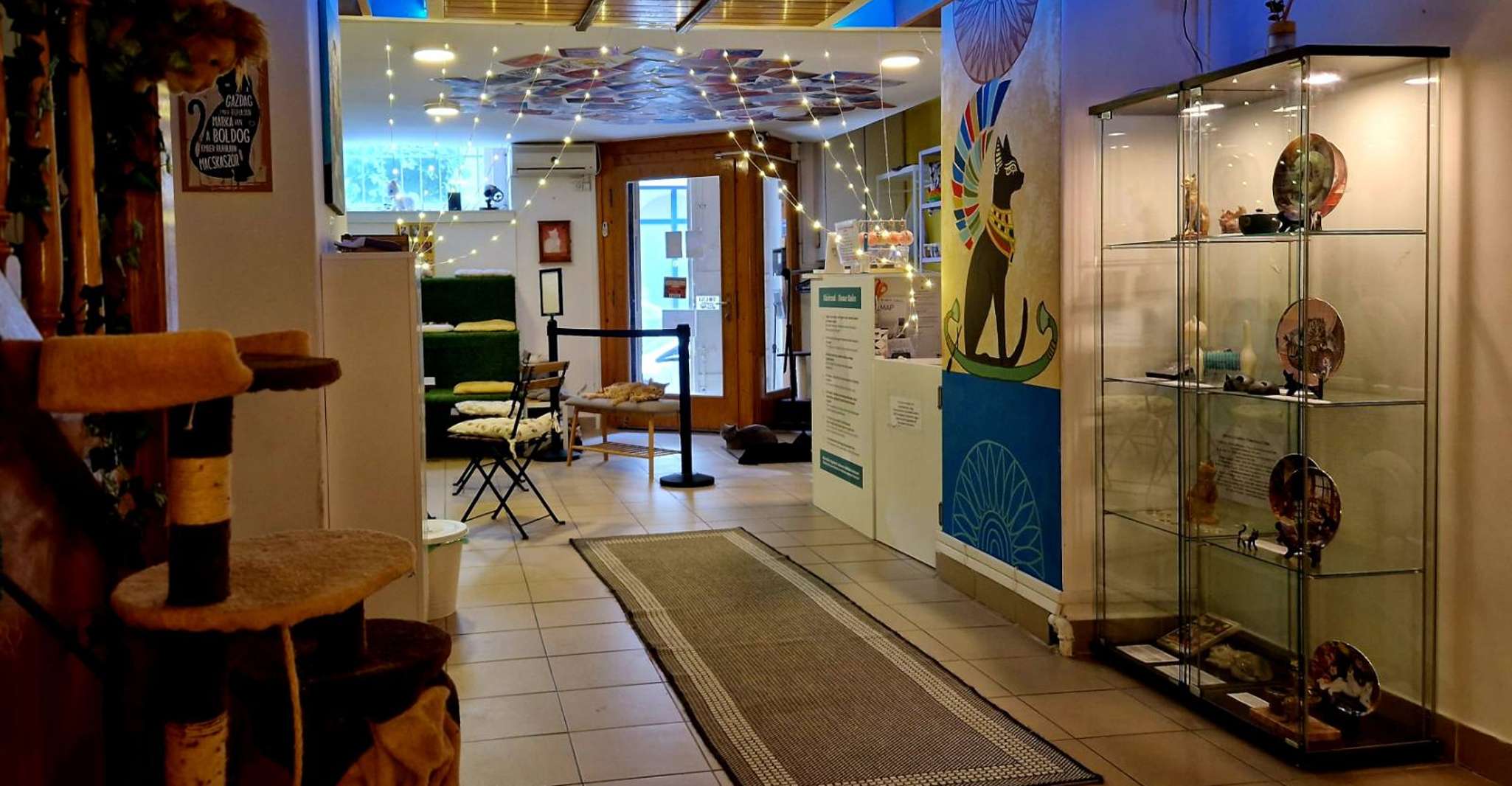 Budapest: Cat Museum Budapest Entry Ticket photo 14