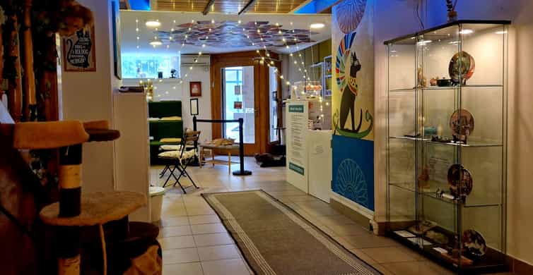 Budapest: Cat Museum Budapest Entry Ticket photo 14