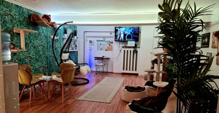 Budapest: Cat Museum Budapest Entry Ticket photo 15