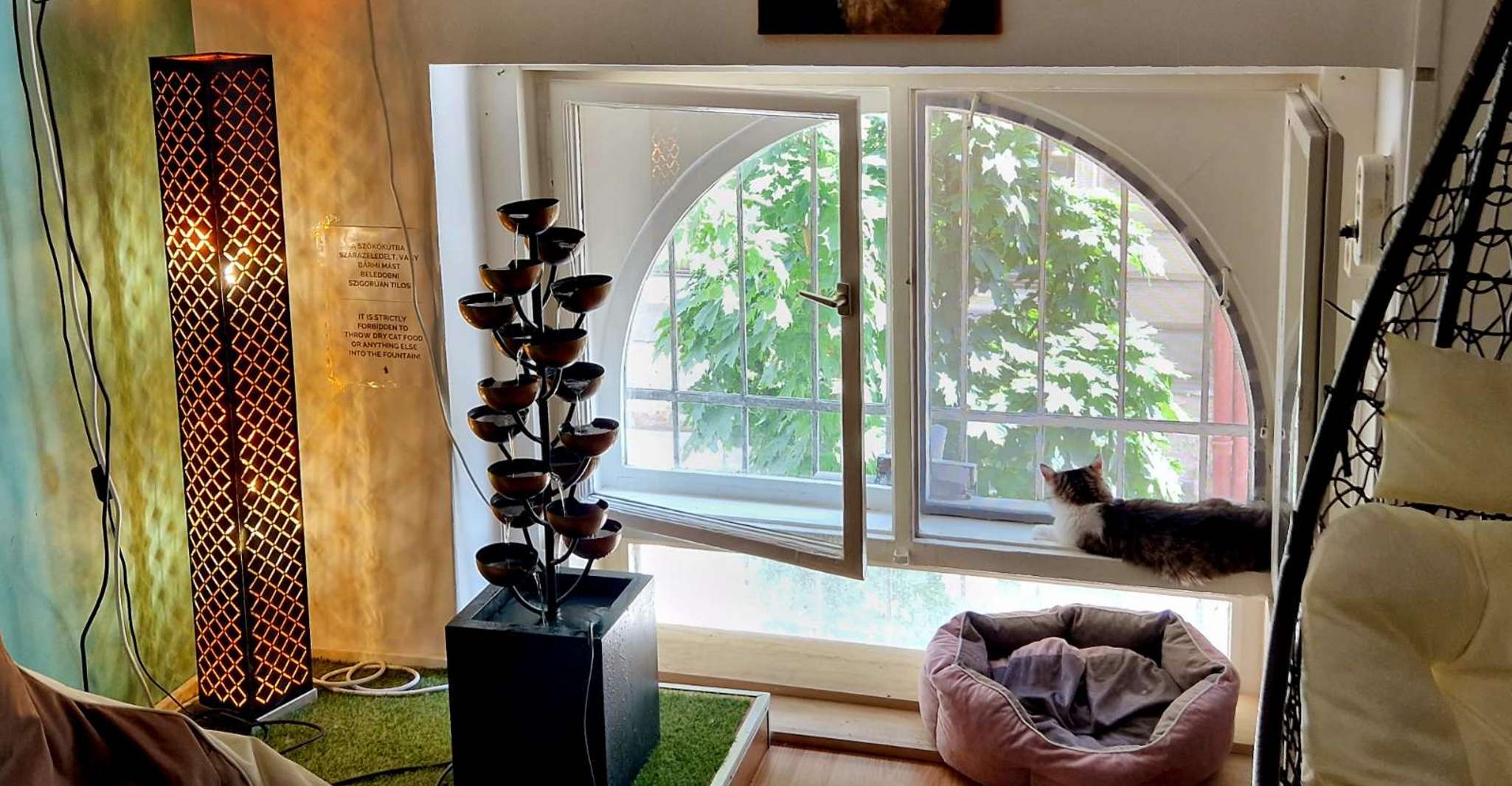 Budapest: Cat Museum Budapest Entry Ticket photo 16