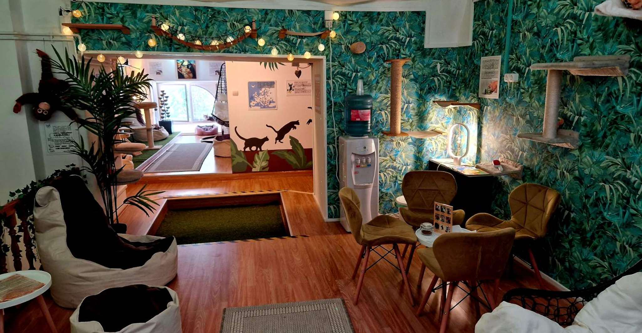 Budapest: Cat Museum Budapest Entry Ticket photo 18