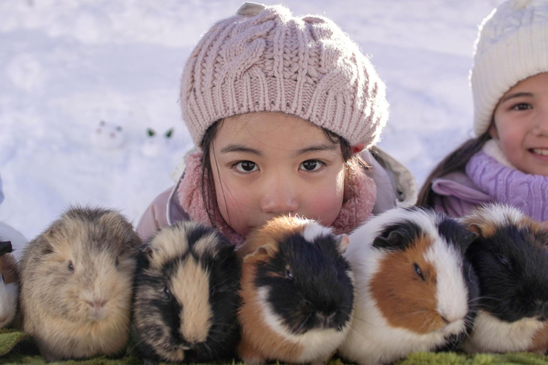 From Nagoya: Snow Day in the Japan Alps & Shirakawago Nagoya (tour + rental snow wear)