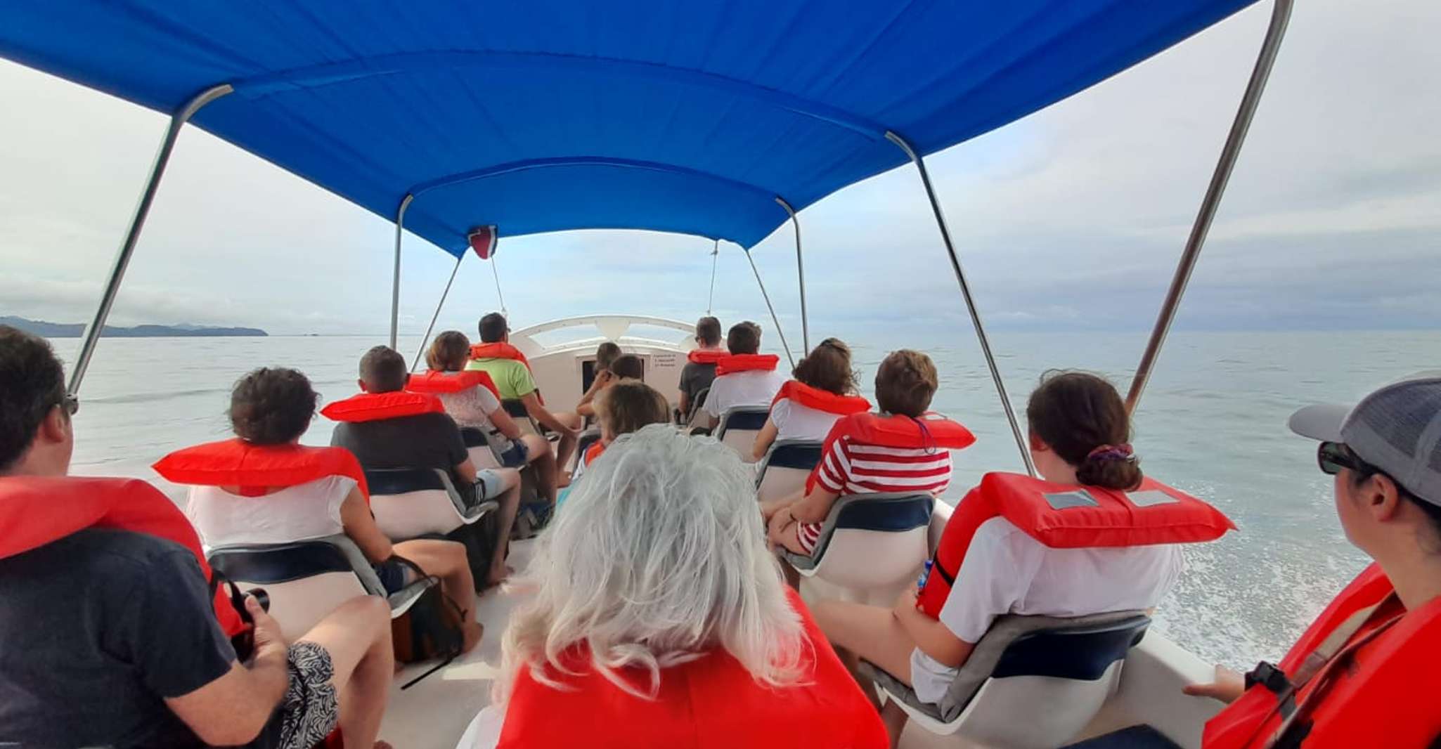 Uvita, Whale Watching Boat Trip with Drinks and Snacks - SuiteTrails