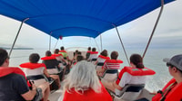 Uvita, Whale Watching Boat Trip con bevande e snack - Hizvo