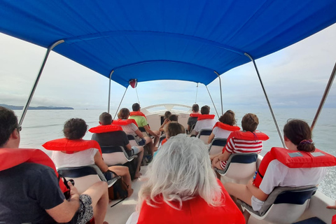 Uvita: Whale & Dolphin Watching Boat Trip w/ Drinks & Snacks