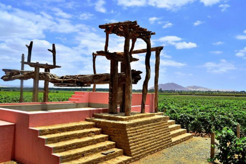 Ica: excursão de um dia às vinícolas e vinhedos de PiscoExcursão diurna às vinícolas e vinhedos de Pisco