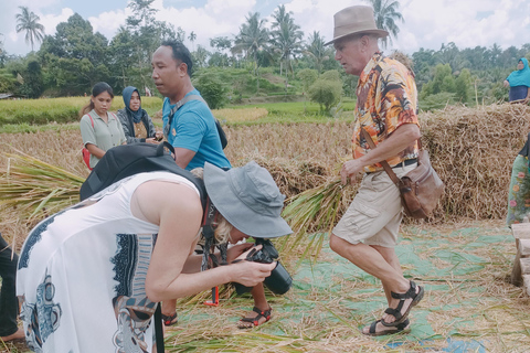 特特巴图：瀑布、香料、梯田、猴子森林特特巴图之旅、香料、瀑布、梯田、猴林