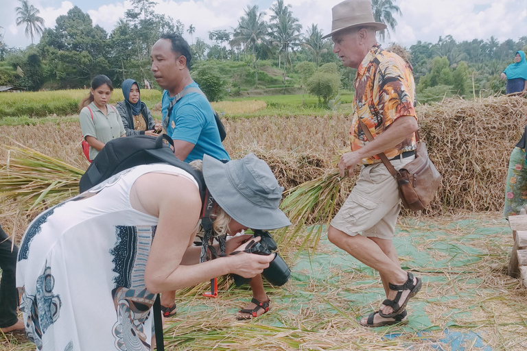 特特巴图：瀑布、香料、梯田、猴子森林特特巴图之旅、香料、瀑布、梯田、猴林