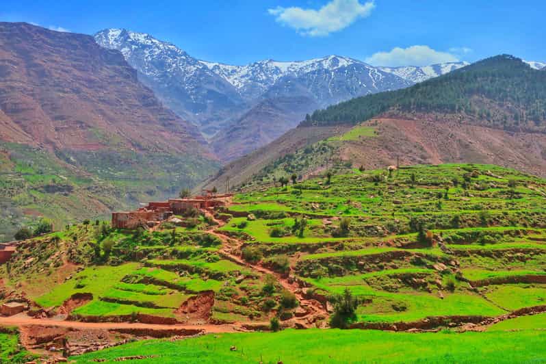 Desde Marrakech: Excursión Privada de un Día a las Montañas del Atlas - trekking