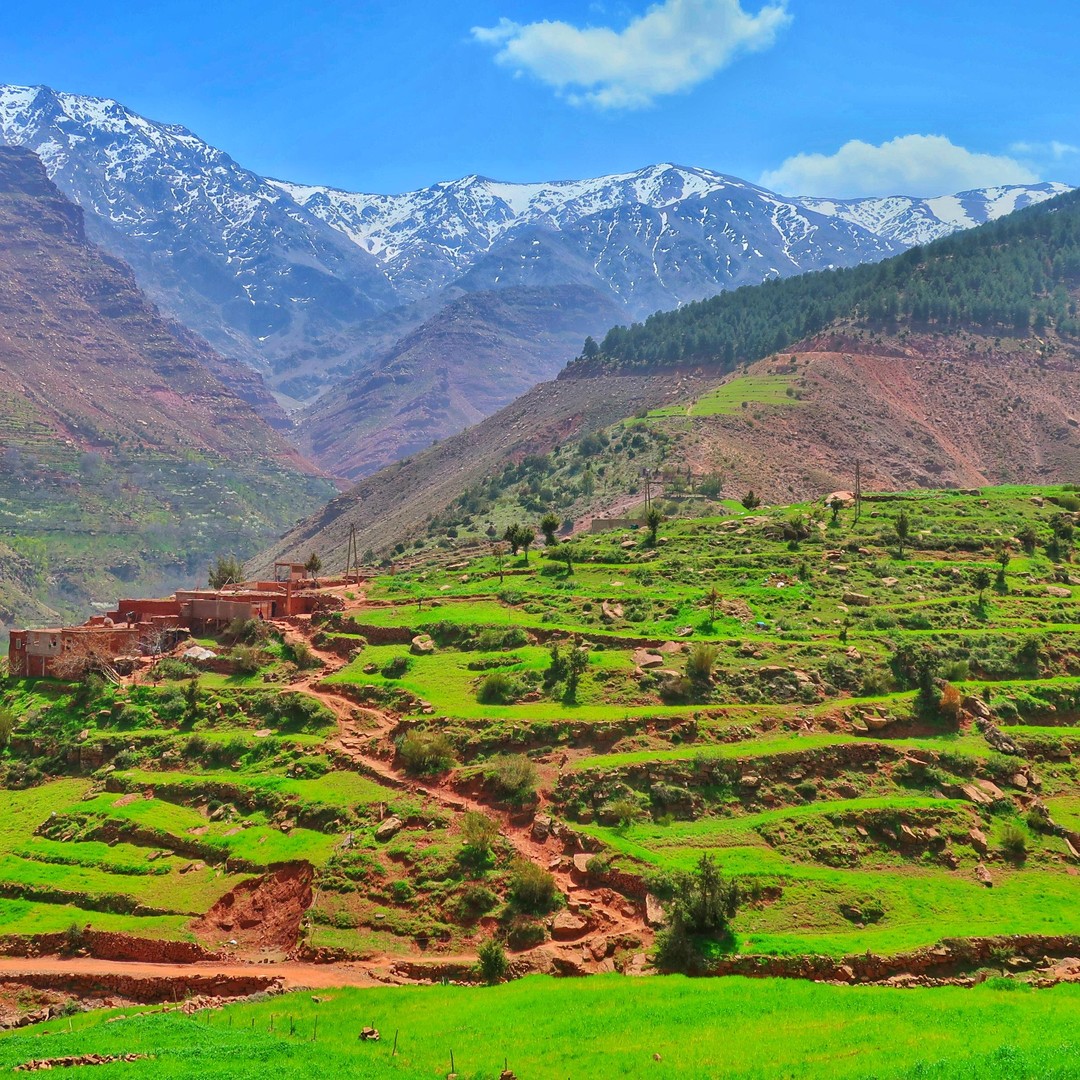 Desde Marrakech: Excursión Privada de un Día a las Montañas del Atlas - trekking