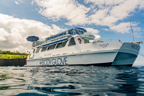 Big Island: experiencia de snorkel ecológico y barbacoa