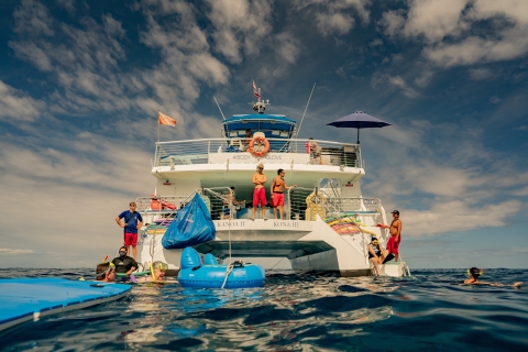 Big Island: milieuvriendelijke snorkelervaring en barbecue