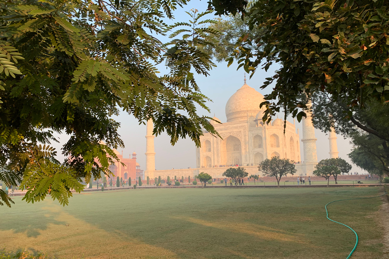 Tajmahal Virtual Tour (Online Experience )