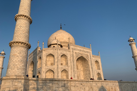 Tajmahal Virtual Tour (Online Experience )