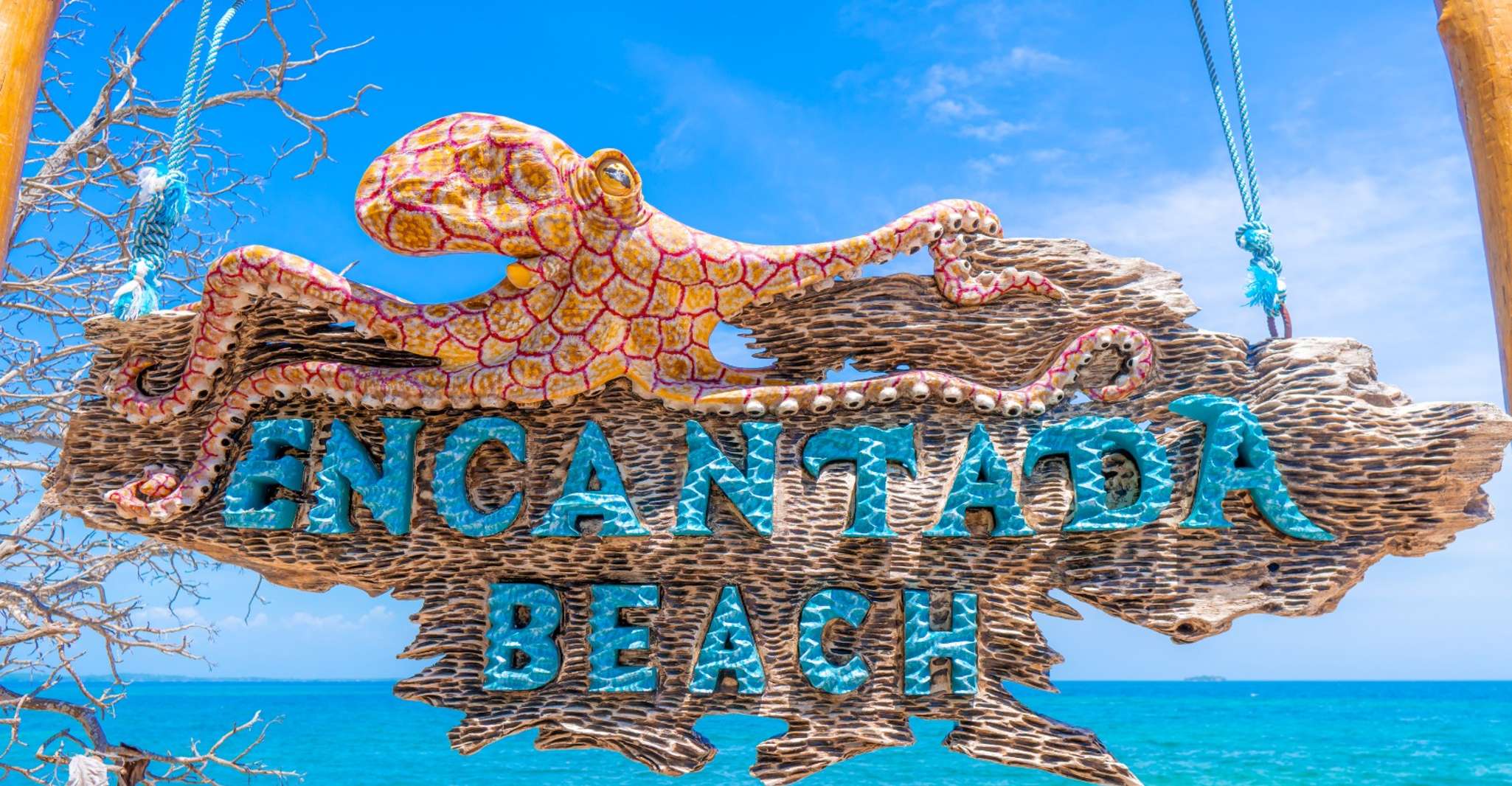 Cartagena, Îles Rosario Voyage en bateau avec Beach Club & Déjeuner - Hizvo